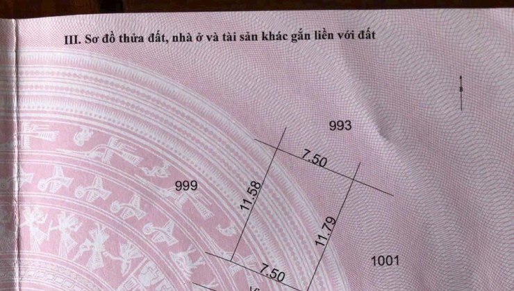 Bán Đất đấu giá Mễ Sở Văn Giang  101m,  mt 7.5m giáp vành đai 4